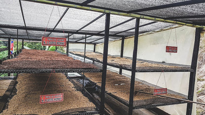 Honey Finca El Jardín Colombia