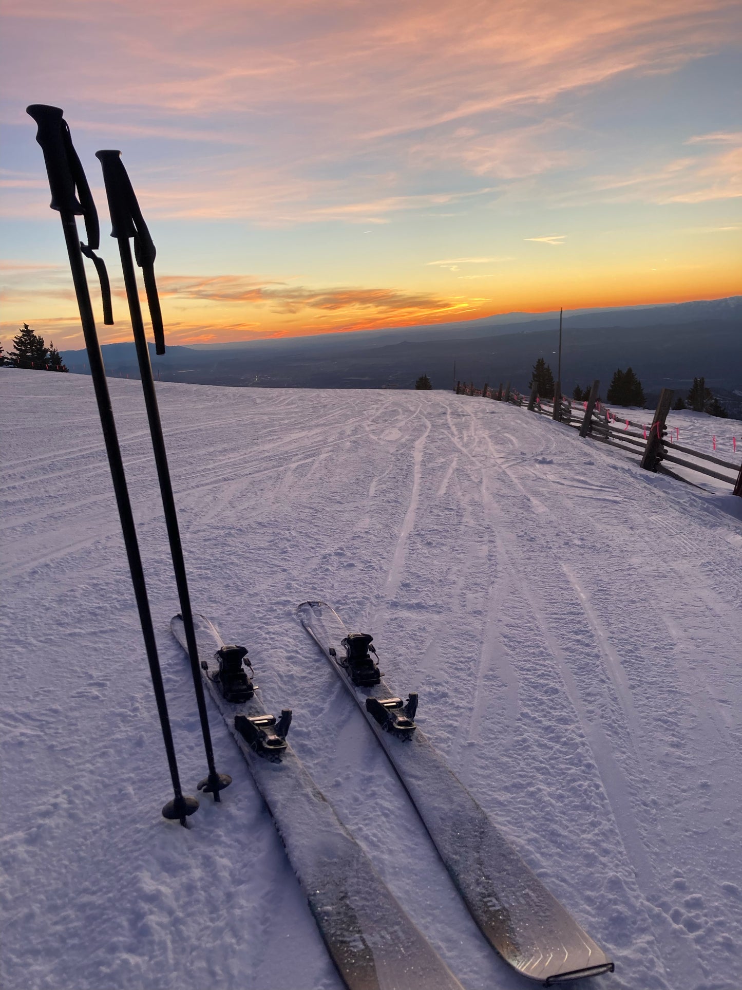 Luminaria Winter Blend