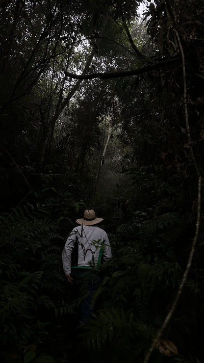 Natural Felipe Trujillo Colombia