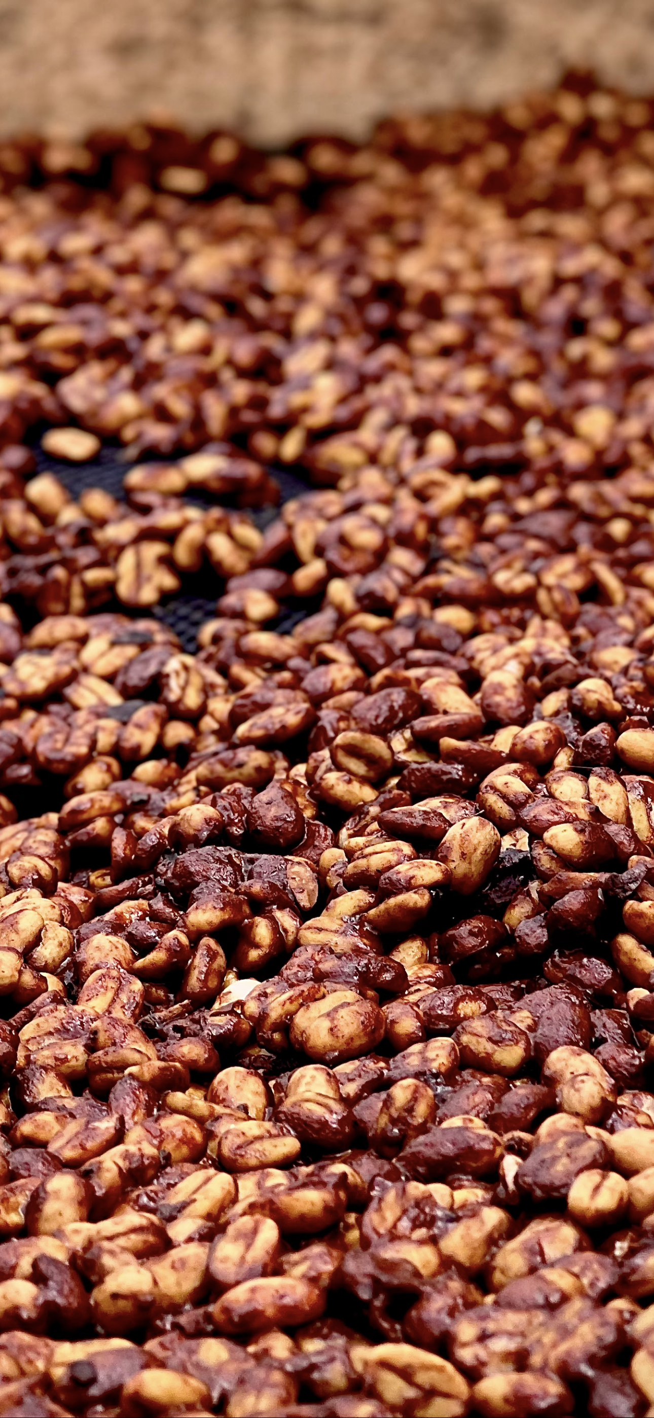 Honey La Cumbre Colombia