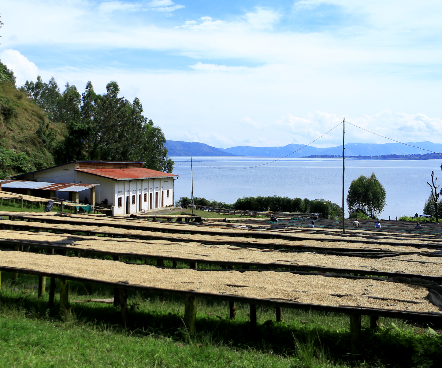 Natural Ngoma Rwanda