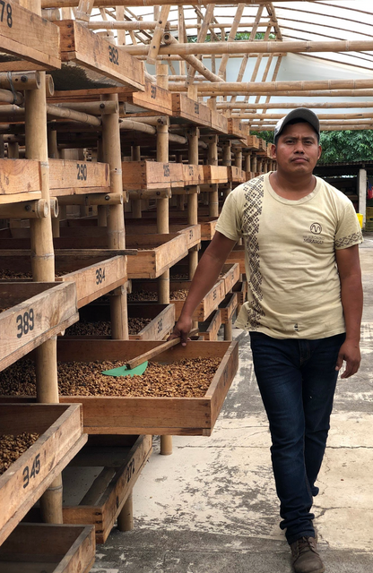 Washed Guatemala Finca San Jerónimo